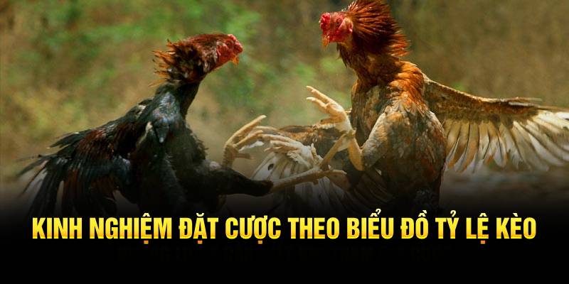 Kinh nghiệm đặt cược theo biểu đồ tỷ lệ kèo